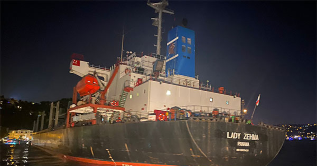 Ship bound for Istanbul from Ukraine runs aground in Bosphorus Strait in Turkey